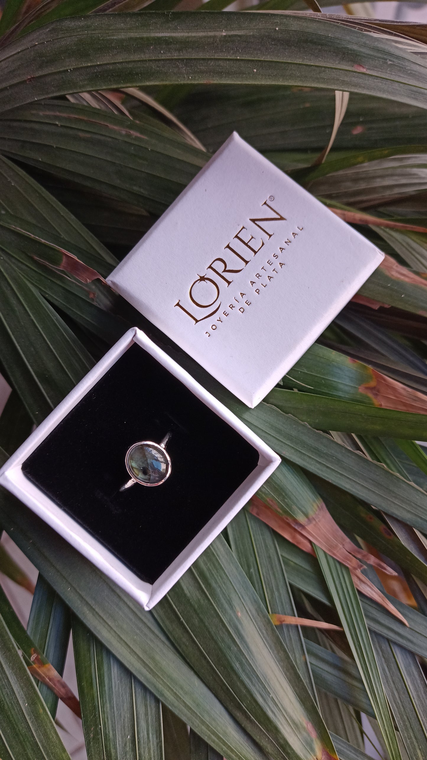 Anillo "Lawrence" en plata 925